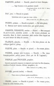 patoi de tg 10b_Histoire du Tourcoing Charles Roussel_Delfontaine le livre d’histoire monographies des villes et villages de France