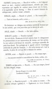 patoi de tg 12b_Histoire du Tourcoing Charles Roussel_Delfontaine le livre d’histoire monographies des villes et villages de France