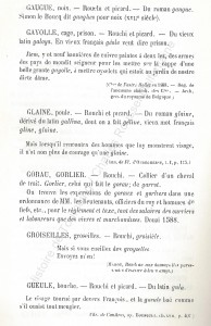 patoi de tg 7_Histoire du Tourcoing Charles Roussel_Delfontaine le livre d’histoire monographies des villes et villages de France